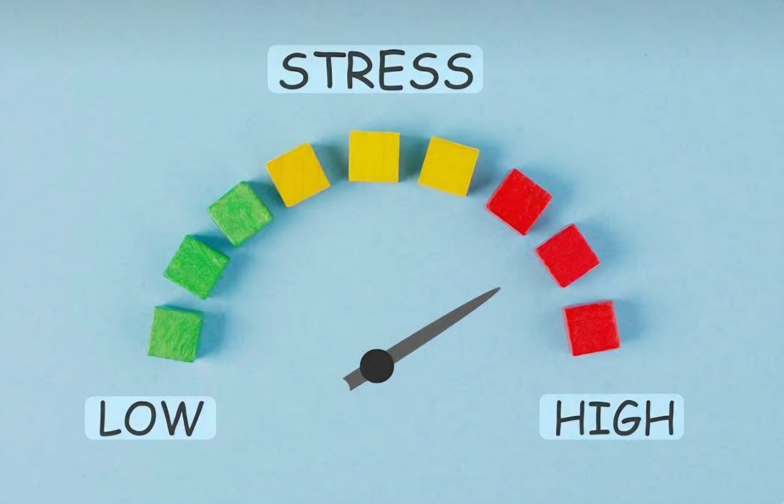 Did You Know Stress Can Affect Your Relationships More Than You Realize?